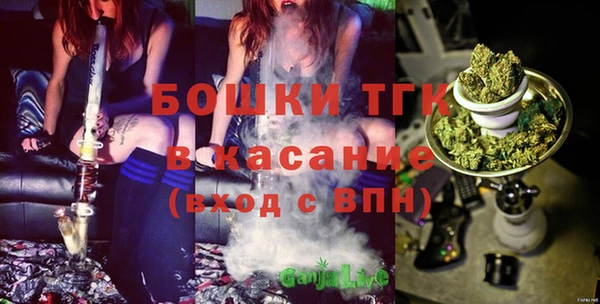 дживик Корсаков