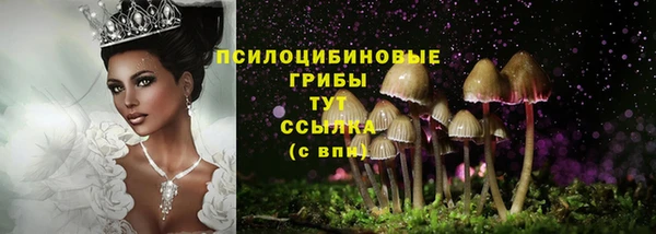 спиды Коряжма